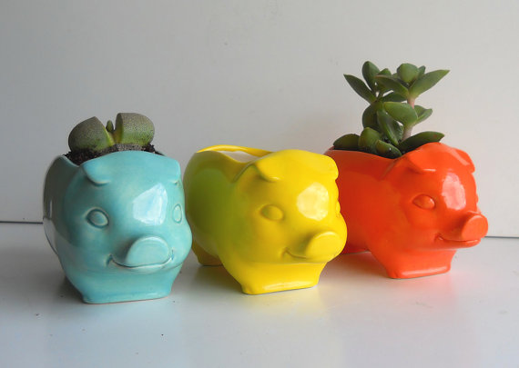 กระถางหมู กระถางหมู