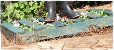 แผ่นไม้ แผ่นไม้