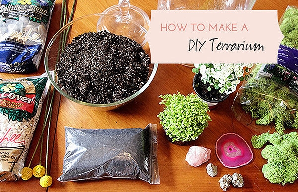 วิธีการทำสวนขวด วิธีการทำสวนขวด