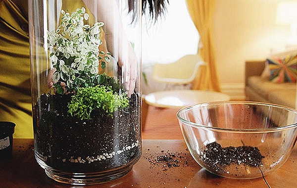 ทำสวนขวดเอง ทำสวนขวดเอง