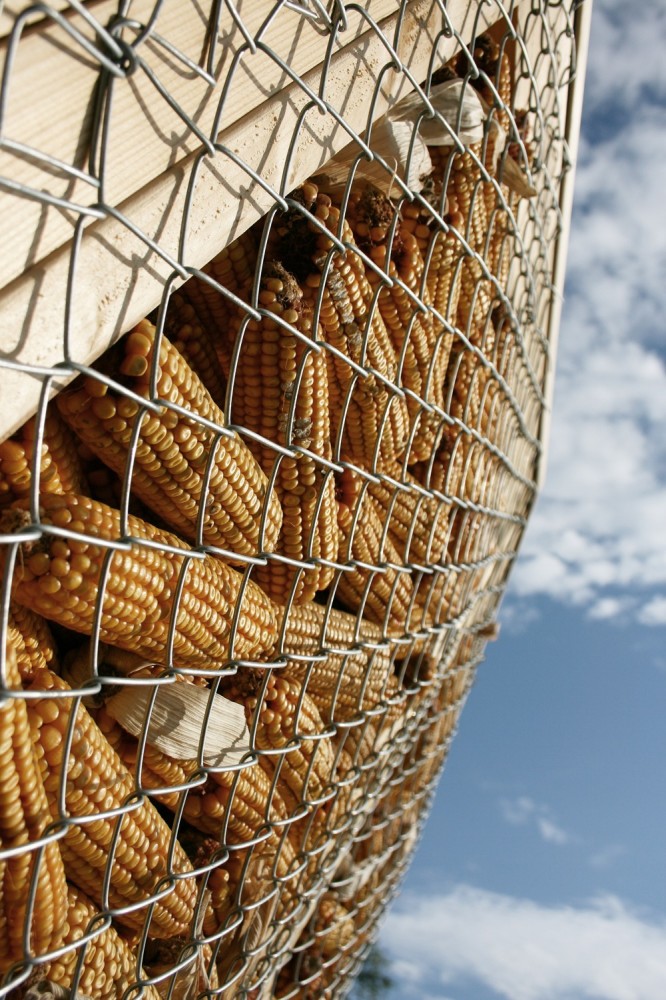 ลวดตาข่าย ลวดตาข่าย