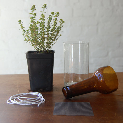 สวนครัว สวนครัว