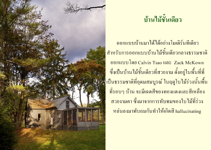 บ้านไม้ชั้นเดียว บ้านไม้ชั้นเดียว