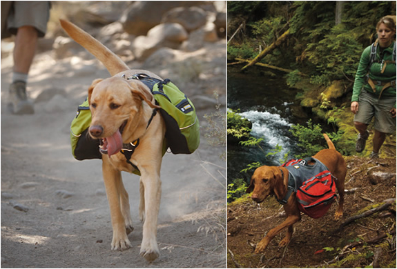 กระเป๋าเดินทางสุนัข กระเป๋าเดินทางสุนัข