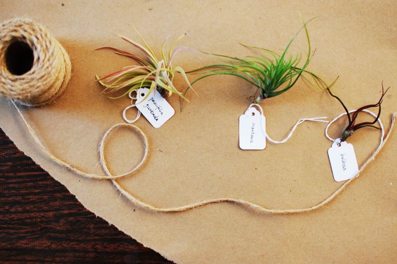 พื้นที่สีเขียว พื้นที่สีเขียว