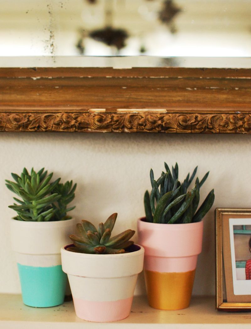 สร้างบรรยากาศธรรมชาติ สร้างบรรยากาศธรรมชาติ