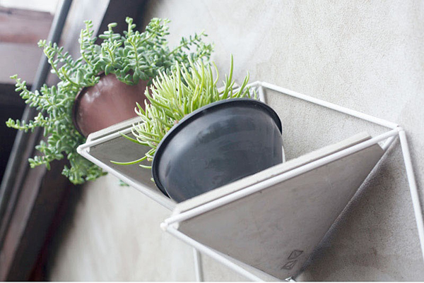 จัดสวน ติดผนัง จัดสวน ติดผนัง