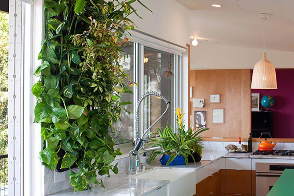 จัดสวนในครัว จัดสวนในครัว