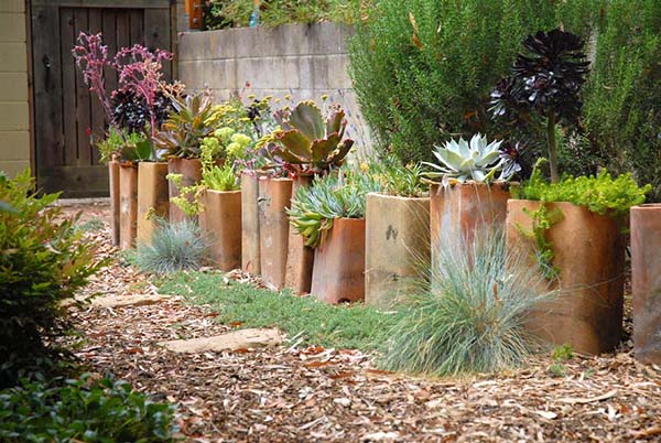 จัดสวนด้วยพืชอวบน้ำ แคคตัส จัดสวนด้วยพืชอวบน้ำ แคคตัส