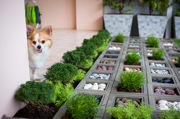 ไอเดียจัดสวน ไอเดียจัดสวน