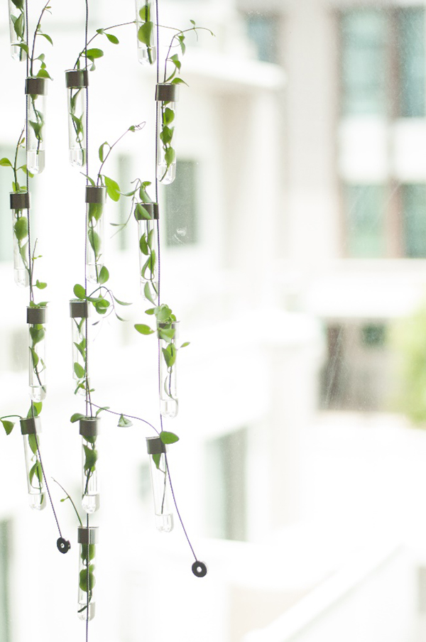 แต่งบ้าน แต่งบ้าน