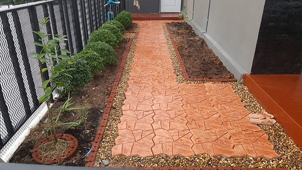 สวนข้างบ้าน สวนข้างบ้าน