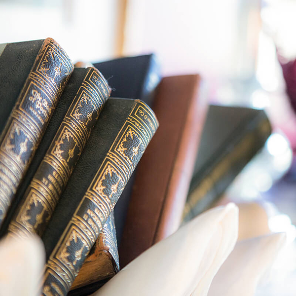 ไอเดียการตกแต่ง ไอเดียการตกแต่ง