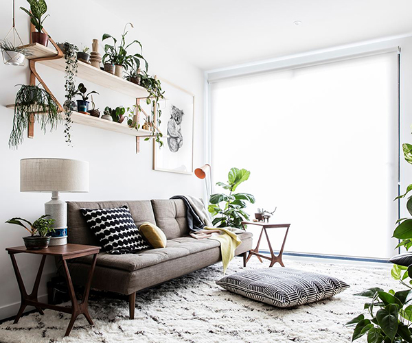 จัดสวนในคอนโด จัดสวนในคอนโด