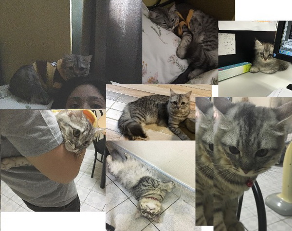 รีโนเวทบ้าน รีโนเวทบ้าน