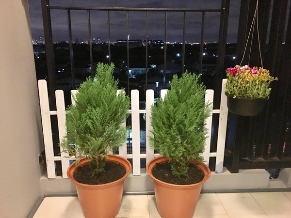 ตกแต่งระเบียงคอนโด ตกแต่งระเบียงคอนโด