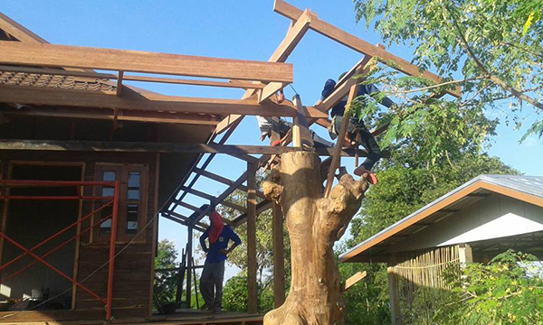 หลังคาบ้าน หลังคาบ้าน