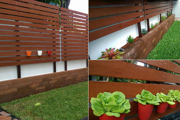 จัดสวนริมรั้ว จัดสวนริมรั้ว