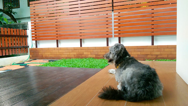 จัดสวนขนาดเล็ก จัดสวนขนาดเล็ก