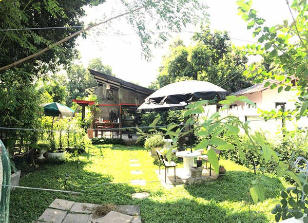 ไอเดียการจัดสวน ไอเดียการจัดสวน