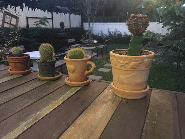 จัดสวนสวย จัดสวนสวย