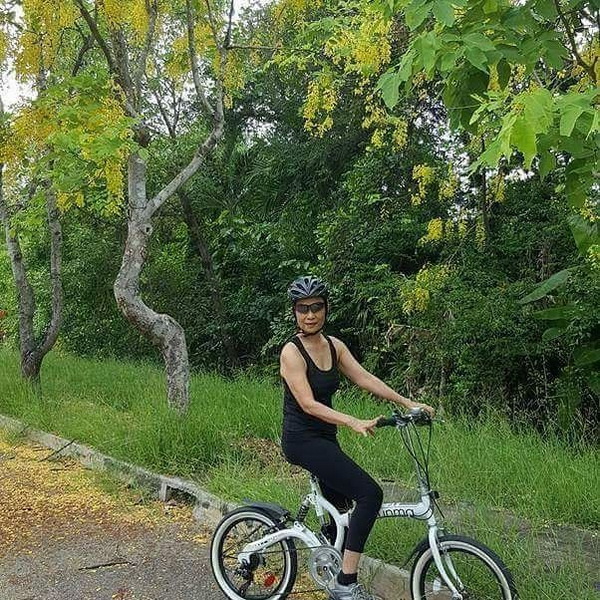 จัดสวนสวย จัดสวนสวย