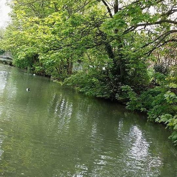 บ่อน้ำ บ่อน้ำ