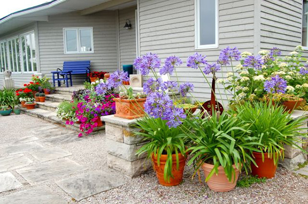 จัดสวนสวยด้วยสีสัน