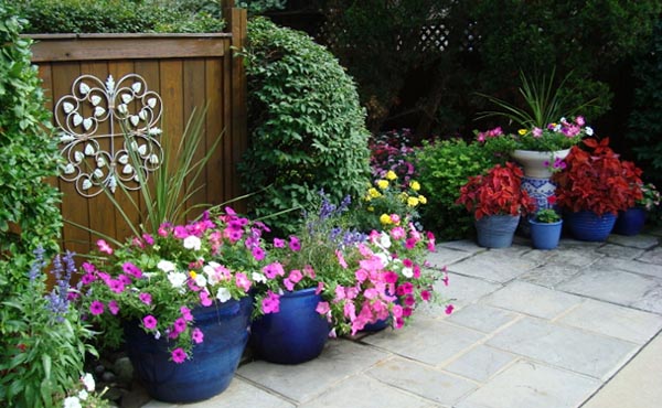 จัดสวนสวยกับสีสัน