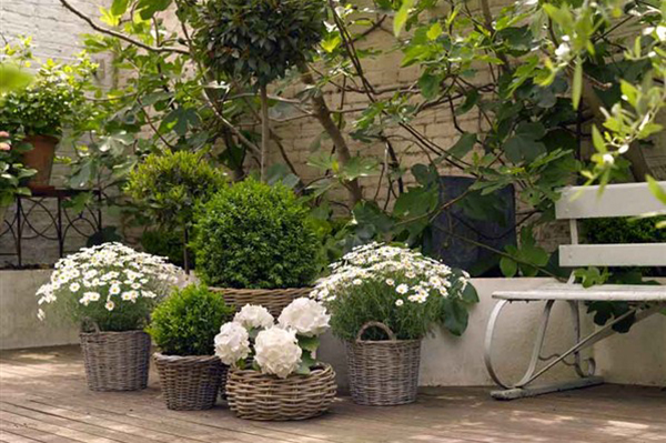 จัดสวนในพื้นที่เล็กๆ เพิ่มความสดชื่นในบ้าน