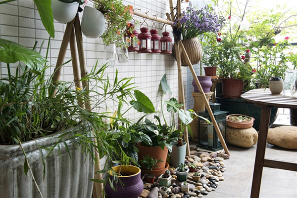 จัดสวนในพื้นที่เล็กๆ เพิ่มความสดชื่นในบ้าน