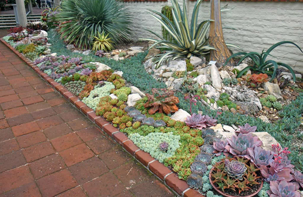 จัดสวนสวย ด้วยแคคตัส