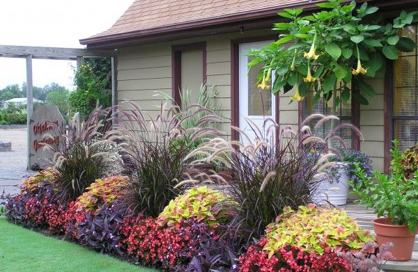 แต่งสวนด้วยพรรณไม้สีม่วง