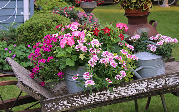 แต่งสวนด้วยรถเข็น